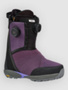 nightshade purple