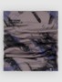 paintbrush blue