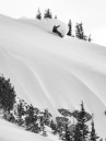 Lib Tech Orca Ii 2027 Snowboard