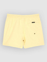 Quiksilver Everyday Solid Volley 15 Boardshorts