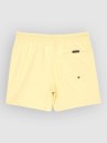Quiksilver Everyday Solid Volley 15 Boardshorts