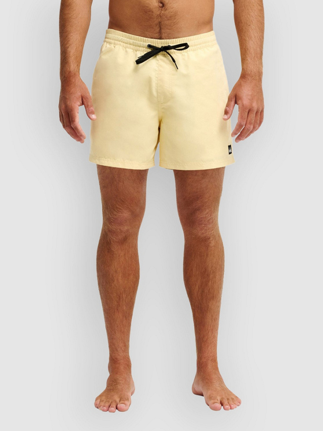 Quiksilver Everyday Solid Volley 15 Boardshorts
