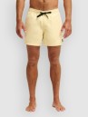 Quiksilver Everyday Solid Volley 15 Boardshorts