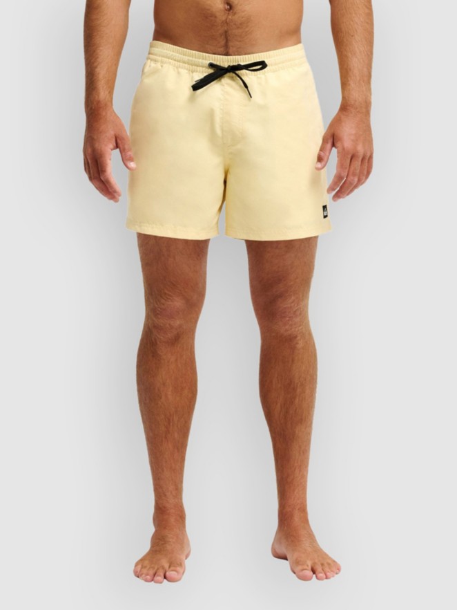 Quiksilver Everyday Solid Volley 15 Boardshorts