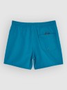 Quiksilver Everyday Solid Volley 15 Boardshorts