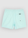 Quiksilver Everyday Solid Volley 15 Boardshorts