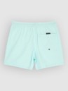 Quiksilver Everyday Solid Volley 15 Boardshorts
