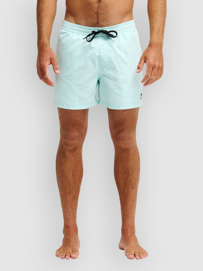Quiksilver Everyday Solid Volley 15 Boardshorts