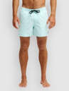 Quiksilver Everyday Solid Volley 15 Boardshorts