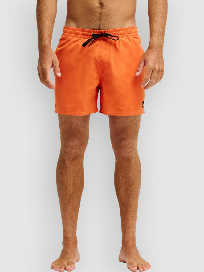 Quiksilver Everyday Solid Volley 15 Boardshorts