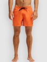 Quiksilver Everyday Solid Volley 15 Boardshorts