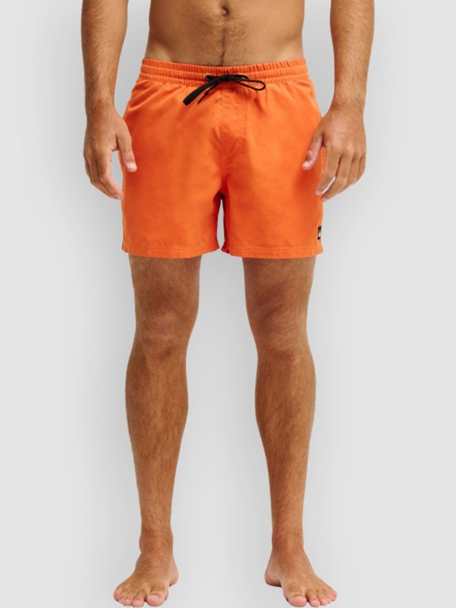 Quiksilver Everyday Solid Volley 15 Boardshorts