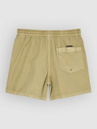 Quiksilver Everyday Surfwash Volley 15 Boardshort