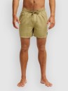 Quiksilver Everyday Surfwash Volley 15 Boardshort