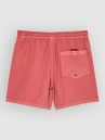 Quiksilver Everyday Surfwash Volley 15 Boardshorts