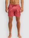 Quiksilver Everyday Surfwash Volley 15 Boardshorts