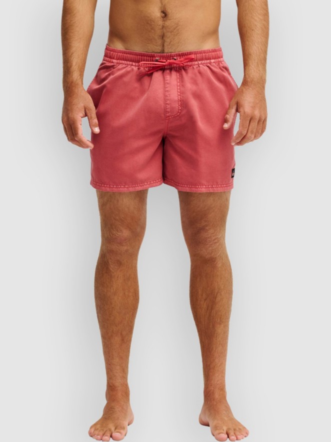 Quiksilver Everyday Surfwash Volley 15 Boardshorts