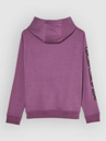 Quiksilver Omni Logo Kids Hoodie