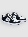 DC STM Skate Shoes