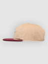 DC Skull Star Cap