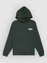 DC Eye Of The Storm Kids Hoodie