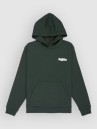 DC Eye Of The Storm Kids Hoodie