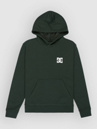 DC Pushing Forward Kids Hoodie