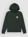 DC Pushing Forward Kids Hoodie