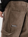 DC Snow Carpenter 10K Broek