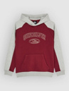 Quiksilver No Teacher Kids Hoodie