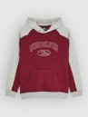 Quiksilver No Teacher Kids Hoodie