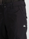 Quiksilver Estate 10K Pants