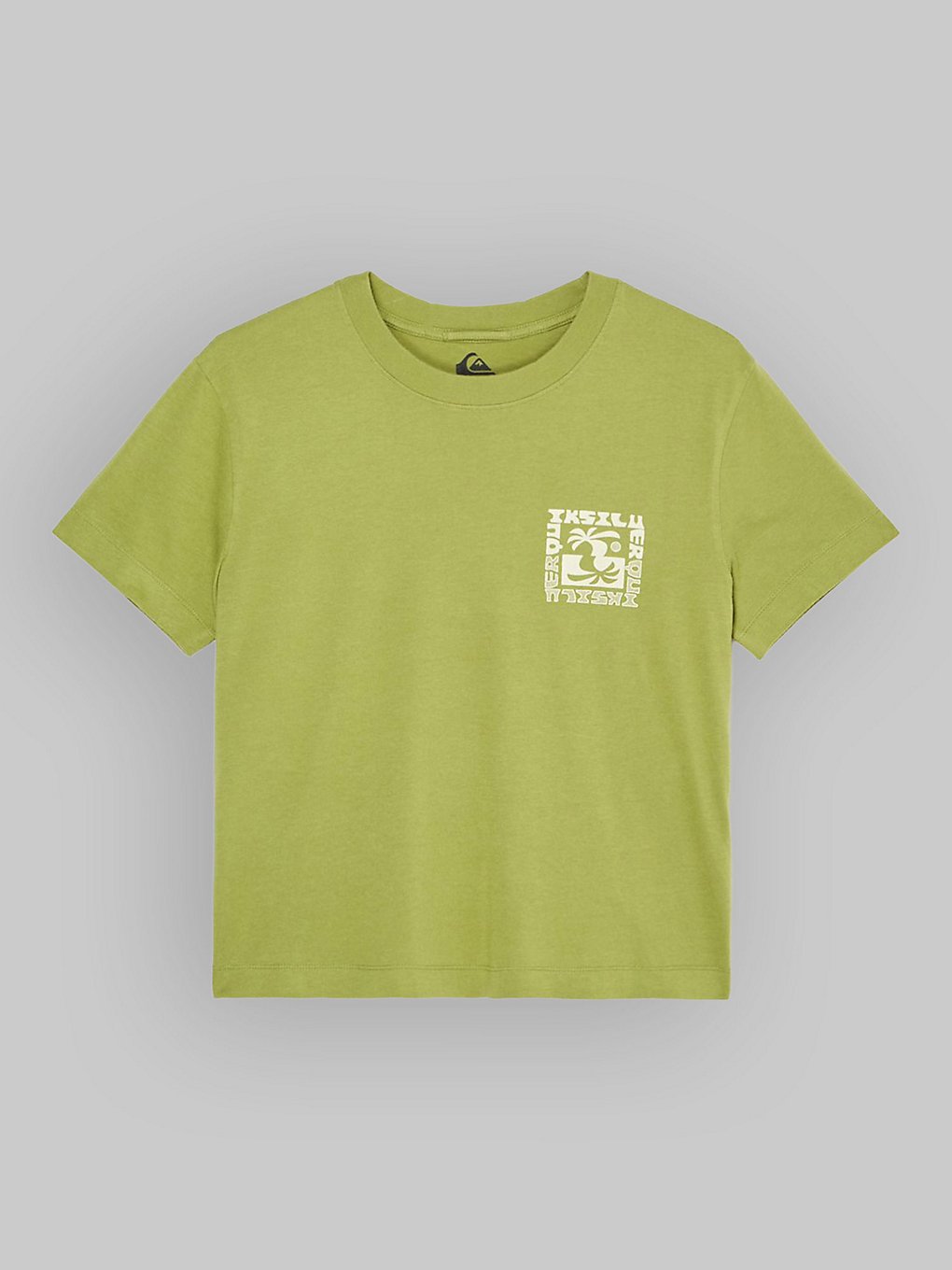 Quiksilver Standard T-Shirt Groen