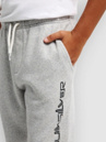 Quiksilver Slim Jogging Pants