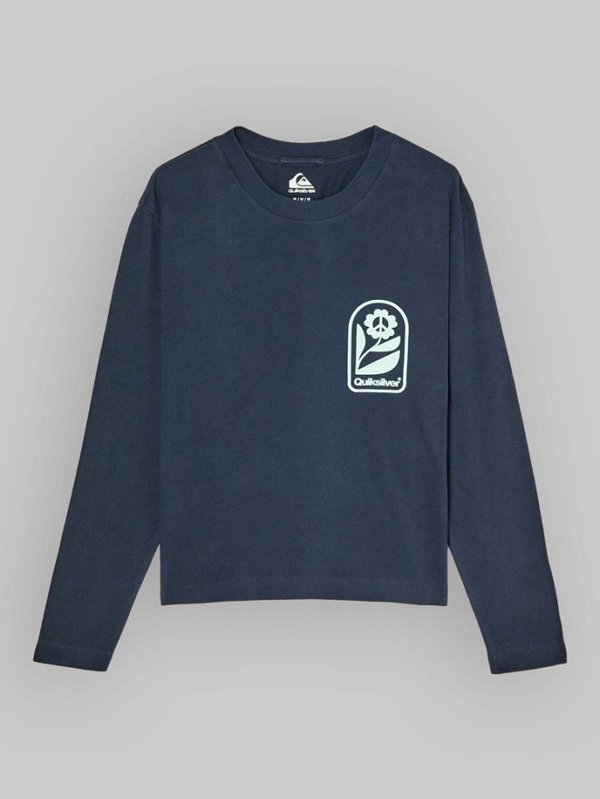 Quiksilver Standard T-Shirt
