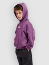 Quiksilver Tricks Boys Kids Hoodie