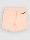 Quiksilver Stretch Printed Volley 16 Boardshorts