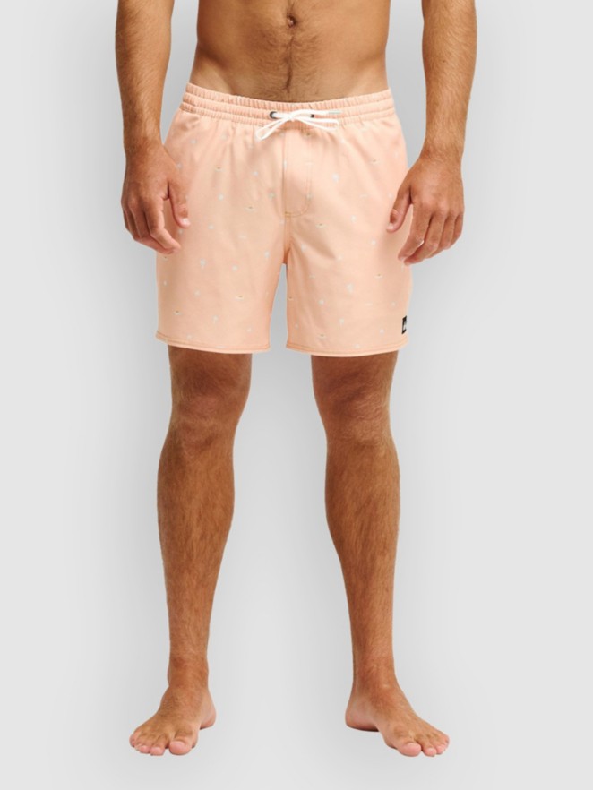 Quiksilver Stretch Printed Volley 16 Boardshorts