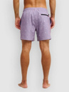 Quiksilver Stretch Printed Volley 16 Boardshorts