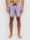 Quiksilver Stretch Printed Volley 16 Boardshorts