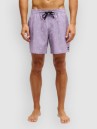 Quiksilver Stretch Printed Volley 16 Boardshorts