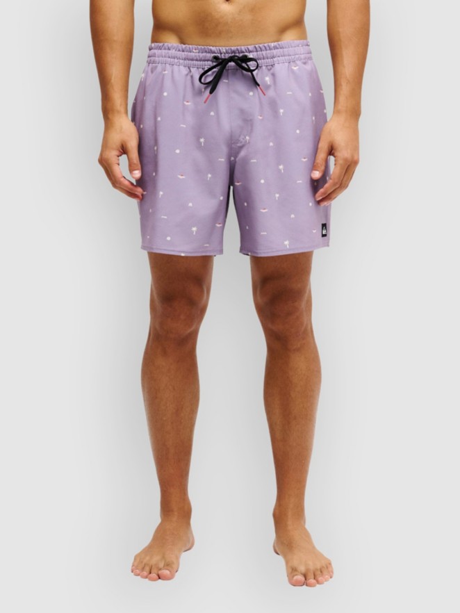 Quiksilver Stretch Printed Volley 16 Boardshorts