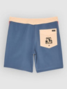 Quiksilver Surfsilk Beach Daze 18 Boardshorts