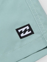 Billabong All Day Lb Boardshorts