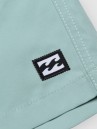 Billabong All Day Lb Boardshorts