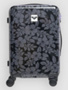 anthracite axs mo