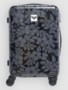 anthracite axs mo