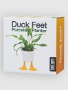bitten Duck Feet Small Planter