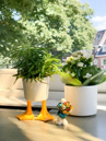 bitten Duck Feet Small Planter
