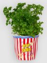 bitten Popcorn Ceramic Decoration Vase
